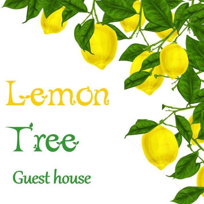 Lemon Tree Guest House Batumi Exterior photo